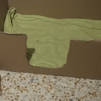 photo de livraison pour Cat Miaou