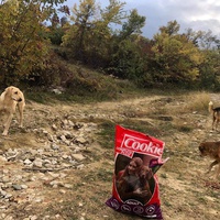 photo de livraison pour Mira Shorak Assante Di Capillo