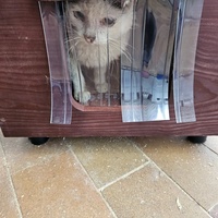 photo de livraison pour L'Arche de la Gazelle