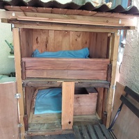 photo de livraison pour Les Chats libres de Calvisson