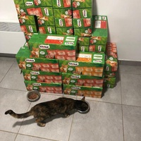 photo de livraison pour APATE