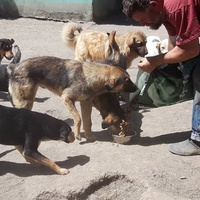 photo de livraison pour Svetlana Bjelogrlic