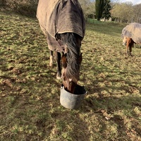 photo de livraison pour Espoir au Galop