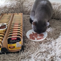 photo de livraison pour La Vraie Magie des Chats