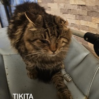 photo de livraison pour L'Arche de la Gazelle