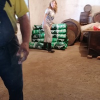 photo de livraison pour Ivana Nikolić