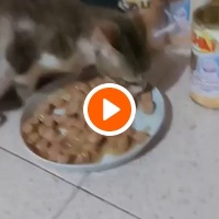 photo de livraison pour Samantha Réaux