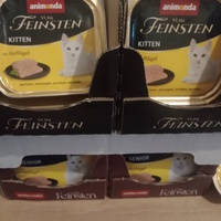 photo de livraison pour Les Chats-Pitresdelavi-Ste