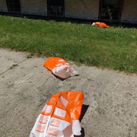 photo de livraison pour RespekTIERE Leben e.V.