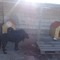 photo de livraison pour Ia-ma acasa - Take Me Home