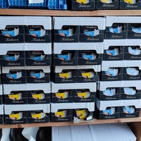 photo de livraison pour L'Arche de Ploum