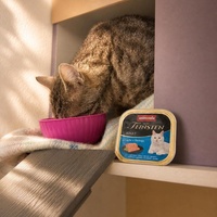 photo de livraison pour Ecole du Chat de Poitiers