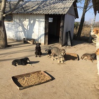 photo de livraison pour Azil Bella