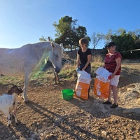 photo de livraison pour La Retraite des Chevaux des Causses