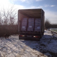 photo de livraison pour Alina & Anda