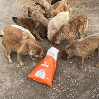 photo de livraison pour Anca Timpeanu