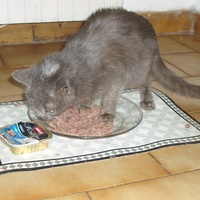 photo de livraison pour Protection Animale Berroise