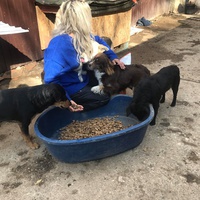 photo de livraison pour Saving Orphaned Souls Sheila's Animal Rescue Mission