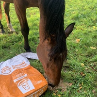 photo de livraison pour Espoir au Galop