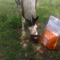 photo de livraison pour Happy Horse Day
