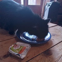 photo de livraison pour Au Rendez-vous des Animaux