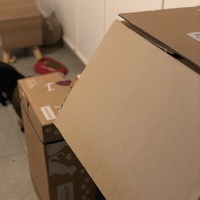 photo de livraison pour Les Chats de Condom 32