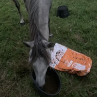 photo de livraison pour Espoir au Galop