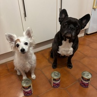 photo de livraison pour L'Arche de MaCha