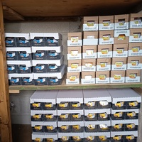 photo de livraison pour L'école du Chat d'Ollioules