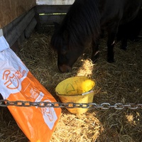 photo de livraison pour Espoir au Galop