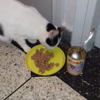 photo de livraison pour Samantha Réaux
