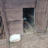 photo de livraison pour Samira Gagula