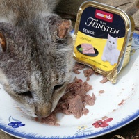photo de livraison pour Au Rendez-vous des Animaux