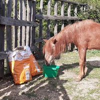photo de livraison pour Association hippique du Caroux