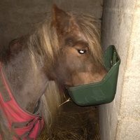 photo de livraison pour Syrou