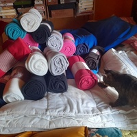 photo de livraison pour La Bleue