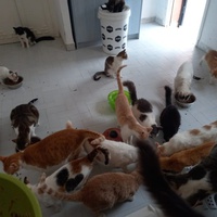 photo de livraison pour Ghita Muller El Jirari
