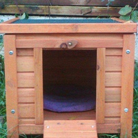photo de livraison pour Charly et ses Drôles de Chats