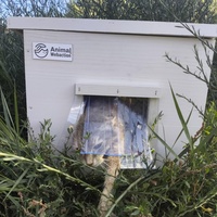 photo de livraison pour Chats Libres de Béziers