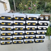 photo de livraison pour Les Amis de Michouette