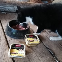 photo de livraison pour L'Arche de Ploum