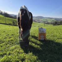 photo de livraison pour Les Crinières de Salherm