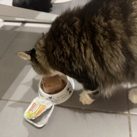 photo de livraison pour Au Rendez-vous des Animaux