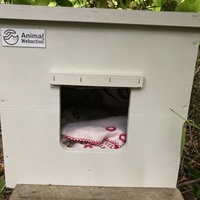 photo de livraison pour Cosette