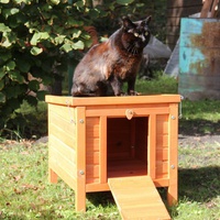 photo de livraison pour Adoption Féline 33