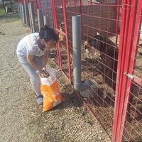 photo de livraison pour Innocente
