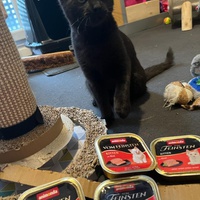 photo de livraison pour Les P’tits Bâtards