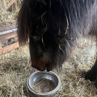 photo de livraison pour Refuge du Poil à la Plume