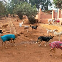 photo de livraison pour UMPA