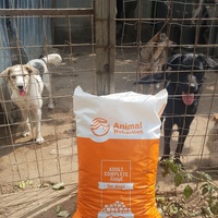 photo de livraison pour Friends for second hand paws vzw